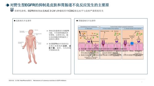 2021AACR新机会分析