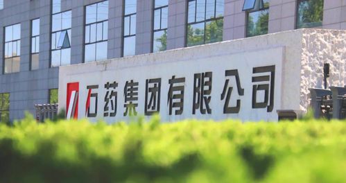 创新百强 绿色工厂 石药两子公司获殊荣