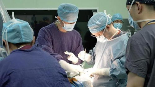 上海首例 国产脑机接口产品在华山医院植入成功,瘫痪患者已能下床