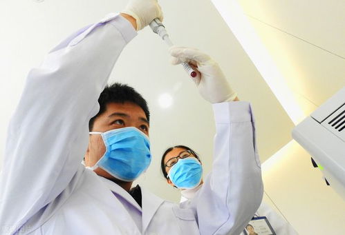 a股 医药细分领域 cro概念,这5家龙头堪比茅台 收藏待爆发