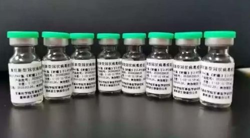 生物疫苗 医疗器械 中药龙头,2天2板,两个月暴涨320 ,还有几倍空间