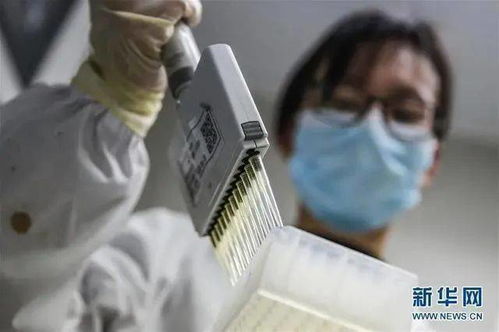 喜大普奔 年底上市