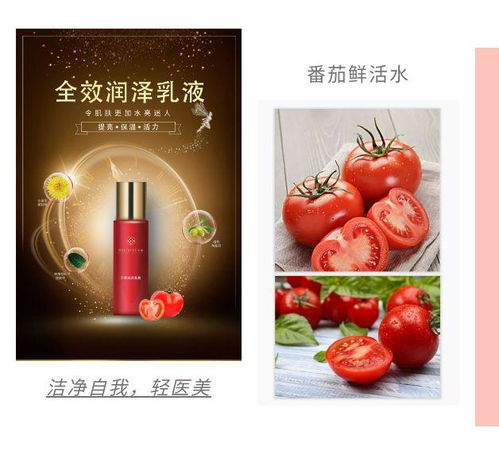 全丽产品最前线 全丽最新研发成果全新top系列 下篇
