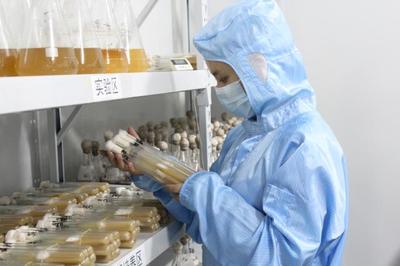 辽宁三友农业生物科技