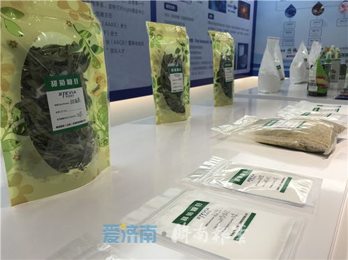 抓项目抓复产 全省重点外商投资项目推进会举行 济南设三个分会场视频连线