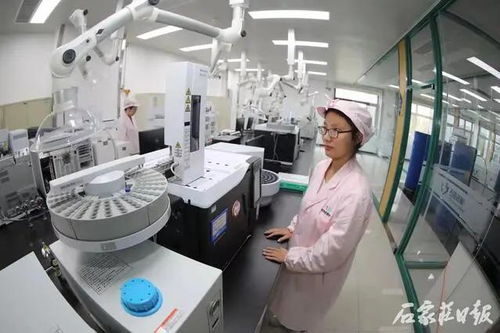 创新路上 快马加鞭 石市骨干药企持续发力研发创新助力全市生物医药产业 率先突破