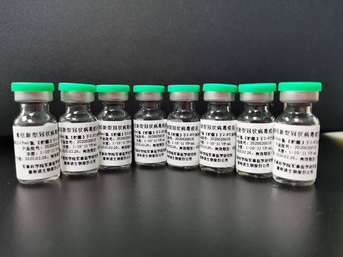 宋清辉 康希诺核心商业化产品未出现 或是导致股价下跌原因之一