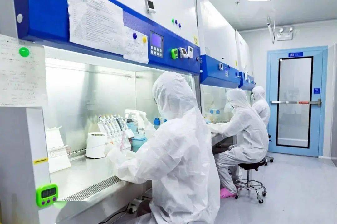 新合生物:mRNA个性化肿瘤新抗原疫苗IND获受理