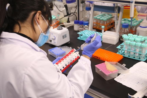 聚焦武汉解码中部引擎 探访光谷生物城