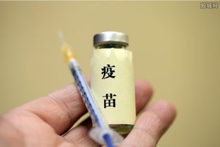 动物疫苗概念股有哪些 2018动物疫苗概念股一览