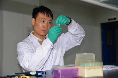 重庆澳龙生物制品的研发部负责人高洋正在进行牛包虫疫苗实验。荣昌区人力资源和社会保障局供图 华龙网发_副本