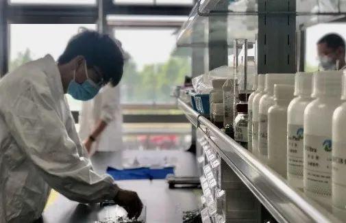 打破国外垄断 纳微科技研发神奇 粉末 ,补齐生物医药产业链关键一环