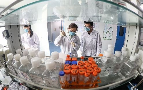 坚持自主创新 青岛汉唐生物杨帆引领中国医疗医药领域新突破