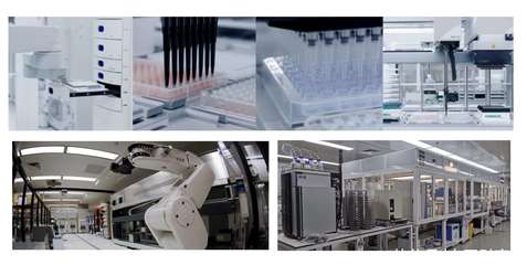 江苏吴中 AI驱动蛋白质设计技术赋能重组胶原蛋白研发创新加速