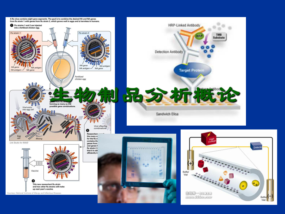 第二十章 生物技术开发